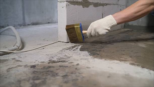 Top rated local Emergency Waterproofing specialists in Corinth, MS
